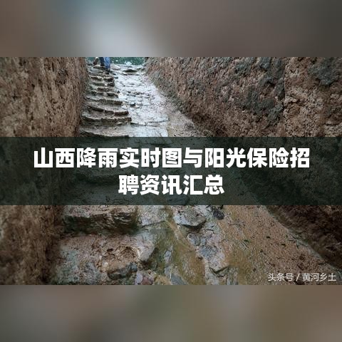 山西降雨实时图与阳光保险招聘资讯汇总
