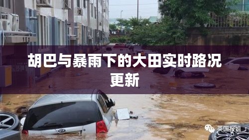 胡巴与暴雨下的大田实时路况更新