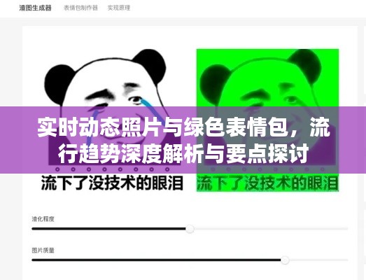 实时动态照片与绿色表情包,流行趋势深度解析与要点探讨