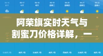 阿荣旗实时天气与割蜜刀价格详解,一篇文章带你全面了解