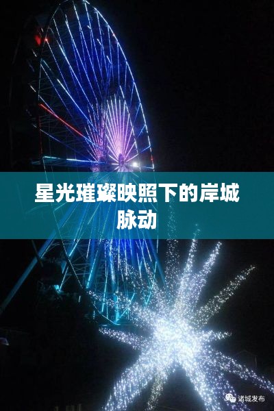 星光璀璨映照下的岸城脉动