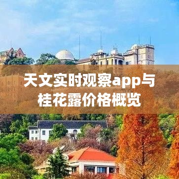 天文实时观察app与桂花露价格概览