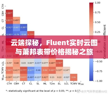 云端探秘，Fluent实时云图与萧邦表带价格揭秘之旅