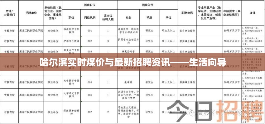 哈尔滨实时煤价与最新招聘资讯——生活向导