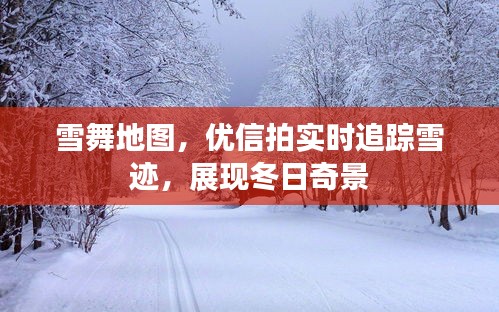 雪舞地图,优信拍实时追踪雪迹,展现冬日奇景