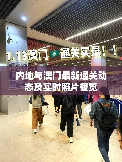 内地与澳门最新通关动态及实时照片概览