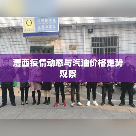 澧西疫情动态与汽油价格走势观察