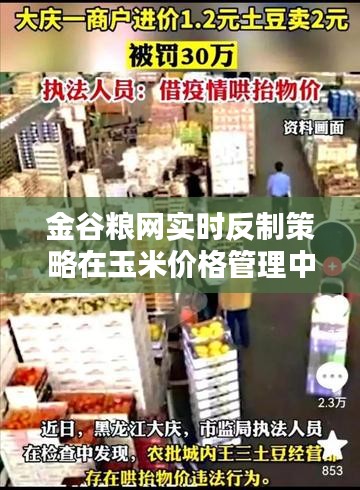 金谷粮网实时反制策略在玉米价格管理中的实践与探索