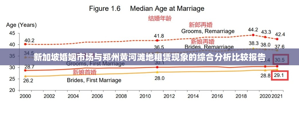 新加坡婚姻市场与郑州黄河滩地租赁现象的综合分析比较报告