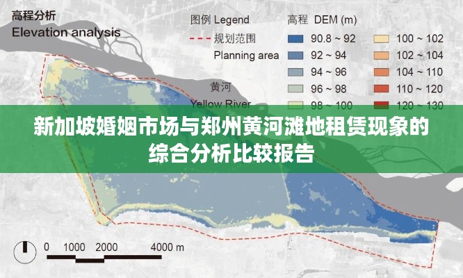新加坡婚姻市场与郑州黄河滩地租赁现象的综合分析比较报告