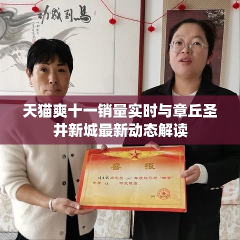 天猫爽十一销量实时与章丘圣井新城最新动态解读