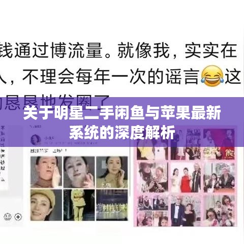 关于明星二手闲鱼与苹果最新系统的深度解析