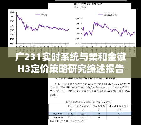 广231实时系统与柔和金徽H3定价策略研究综述报告，策略分析与研究综述