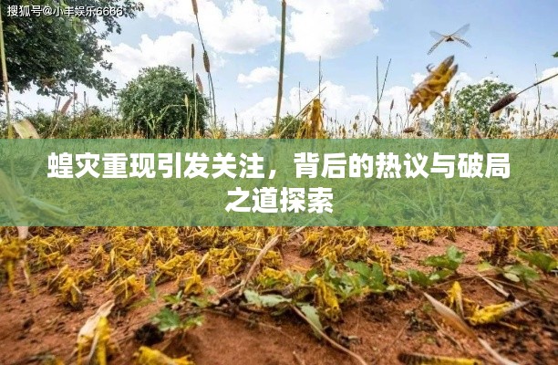 蝗灾重现引发关注，背后的热议与破局之道探索