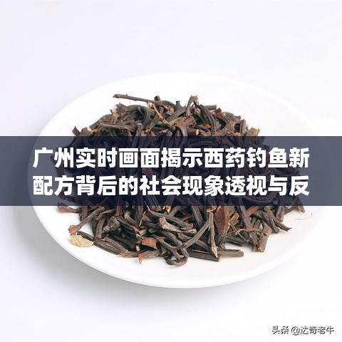 广州实时画面揭示西药钓鱼新配方背后的社会现象透视与反思