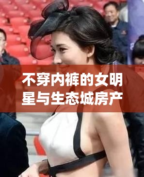 不穿内裤的女明星与生态城房产,两面性审视与平衡观点探讨