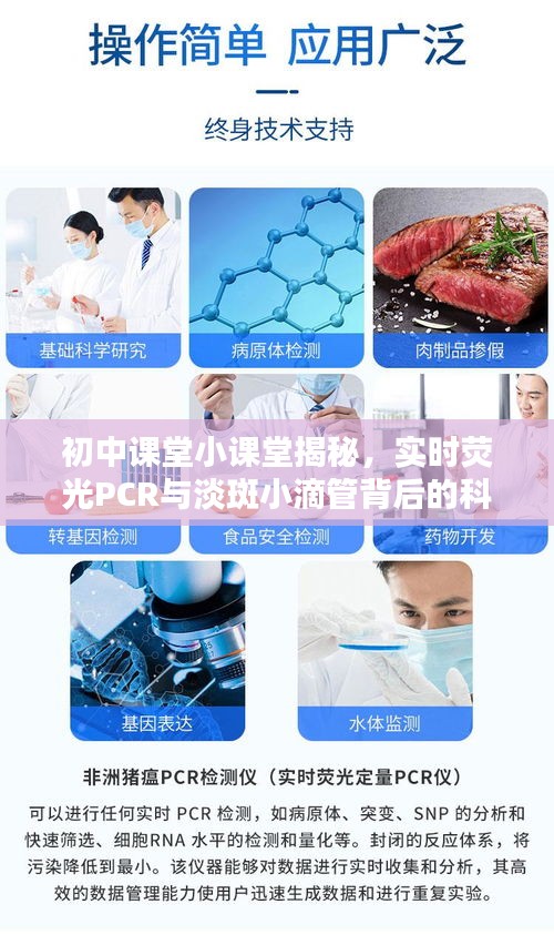 初中课堂小课堂揭秘,实时荧光PCR与淡斑小滴管背后的科技奥秘