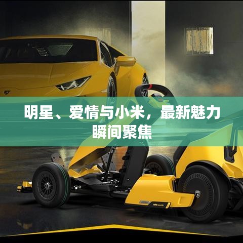 明星、爱情与小米,最新魅力瞬间聚焦