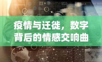 疫情与迁徙,数字背后的情感交响曲