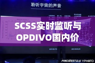SCSS实时监听与OPDIVO国内价格，技术与市场深度交融的探索