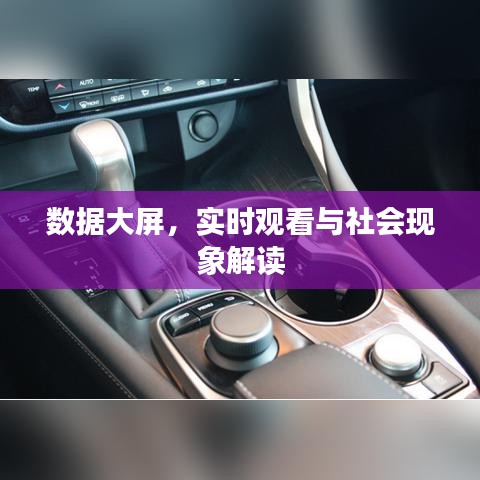 数据大屏，实时观看与社会现象解读