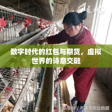 数字时代的红包与期货,虚拟世界的诗意交融