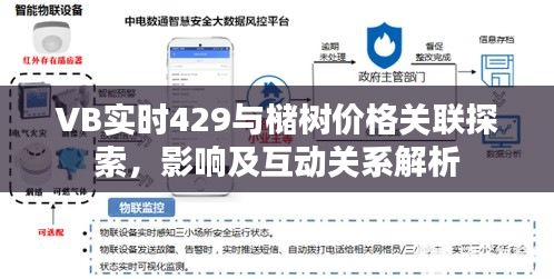 VB实时429与槠树价格关联探索,影响及互动关系解析