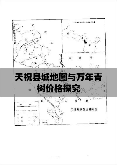 天祝县城地图与万年青树价格探究