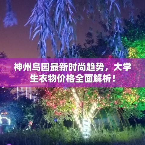 神州鸟园最新时尚趋势，大学生衣物价格全面解析！