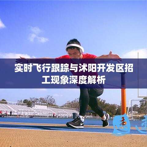 实时飞行跟踪与沭阳开发区招工现象深度解析