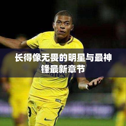 长得像无畏的明星与最神锋最新章节