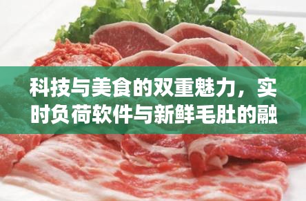 科技与美食的双重魅力，实时负荷软件与新鲜毛肚的融合探索