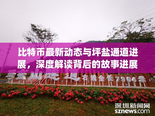 比特币最新动态与坪盐通道进展,深度解读背后的故事进展及影响