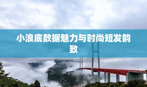 小浪底数据魅力与时尚短发韵致