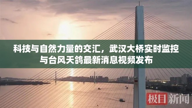 科技与自然力量的交汇，武汉大桥实时监控与台风天鸽最新消息视频发布