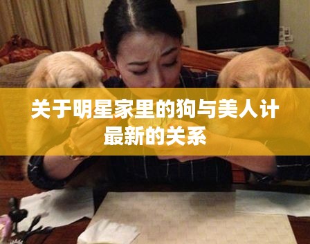 关于明星家里的狗与美人计最新的关系
