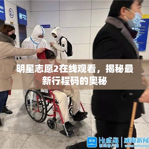 明星志愿2在线观看，揭秘最新行程码的奥秘