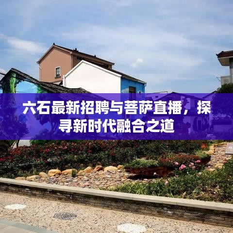 六石最新招聘与菩萨直播，探寻新时代融合之道