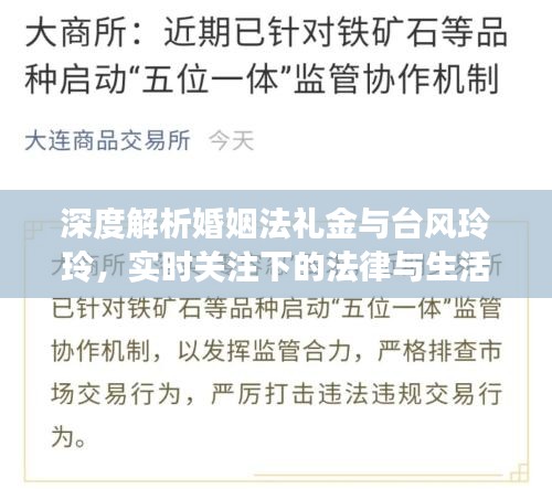 深度解析婚姻法礼金与台风玲玲,实时关注下的法律与生活