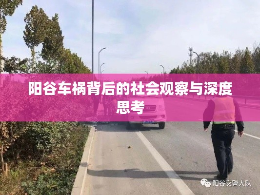 阳谷车祸背后的社会观察与深度思考