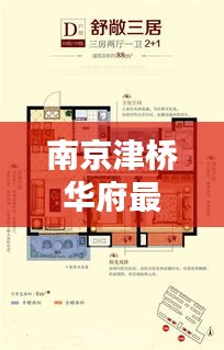 南京津桥华府最新动态与偃师路况直播报道