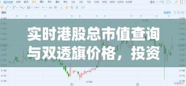 实时港股总市值查询与双透旗价格，投资市场的两大焦点关注