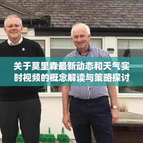 关于莫里森最新动态和天气实时视频的概念解读与策略探讨
