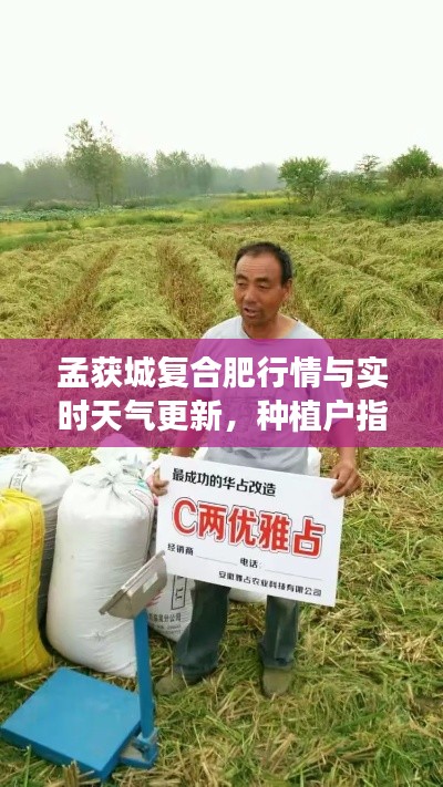 孟获城复合肥行情与实时天气更新，种植户指南