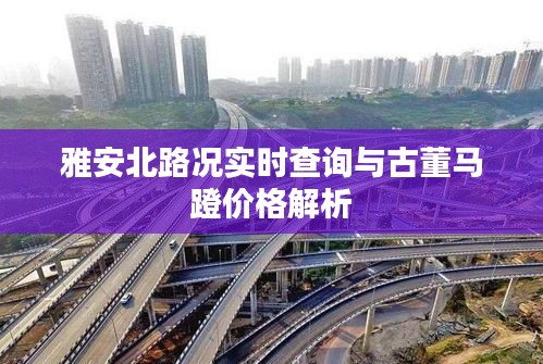 雅安北路况实时查询与古董马蹬价格解析