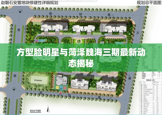 方型脸明星与菏泽魏海三期最新动态揭秘