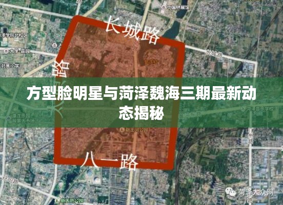 方型脸明星与菏泽魏海三期最新动态揭秘