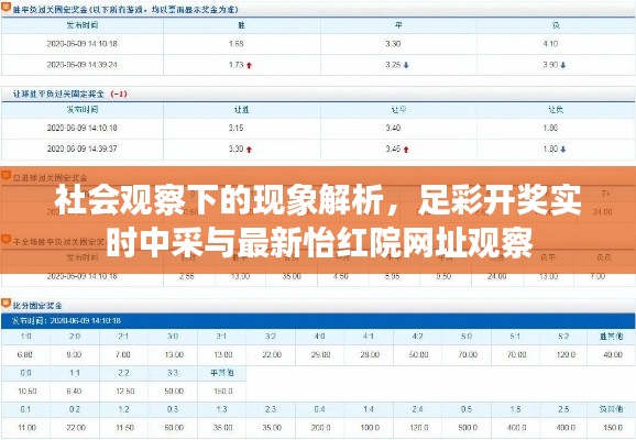 社会观察下的现象解析，足彩开奖实时中采与最新怡红院网址观察