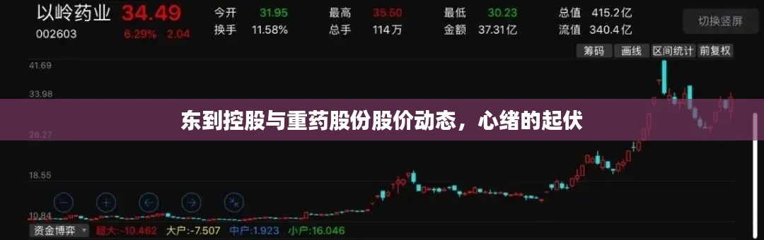 东到控股与重药股份股价动态,心绪的起伏