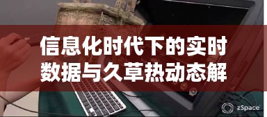 信息化时代下的实时数据与久草热动态解析